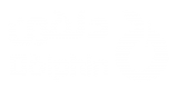 Dolphin-Heavy-Blue-Logo-02